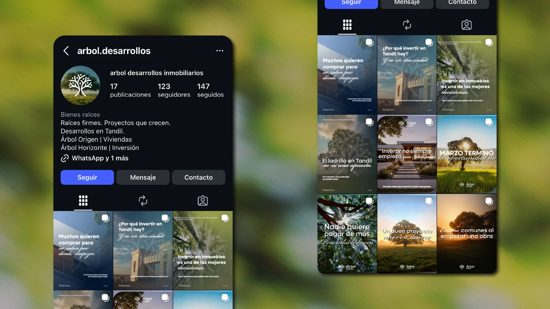 Perfil y grilla de Instagram de Árbol